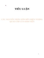 Các nguyên nhân dẫn đến hiện tượng quay cóp của sinh viên trong các kỳ thi