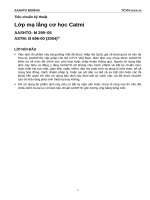 M 299 05 lớp mạ lắng cơ học catmi 