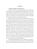 Nâng cao hiệu quả công tác thi hành án hình sự trên địa bàn tỉnh Hà Giang giai đoạn 2016  2020