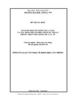 So sánh một số giống dưa vàng và xác định một số biện pháp kỹ thuật trồng trọt cho giống dưa ưu tú (LV thạc sĩ)