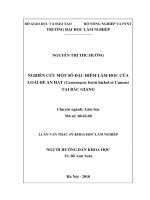 Nghiên cứu một số đặc điểm lâm học của loài dẻ ăn hạt (castanopsis boisii hickel et camus) tại bắc giang 