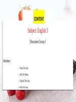 Dino Conti Ice cream