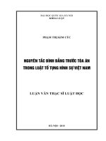 LVTS 2015   nguyên tắc bình đẳng trước tòa án trong luật tố tụng hình sự việt nam 