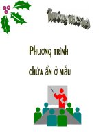 Chương III. §5. Phương trình chứa ẩn ở mẫu