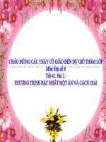 Chương III. §2. Phương trình bậc nhất một ẩn và cách giải