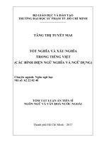 Tốt nghĩa và xấu nghĩa trong tiếng Việt (các bình diện ngữ nghĩa và ngữ dụng)