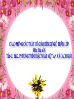 Chương III. §2. Phương trình bậc nhất một ẩn và cách giải