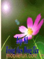 Chương II. §8. Phép chia các phân thức đại số