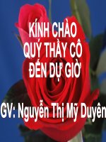 Chương III. §5. Phương trình chứa ẩn ở mẫu