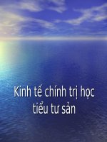 Kinh tế chính trị học tiểu tư sản 