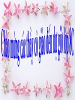 Chương III. §5. Phương trình chứa ẩn ở mẫu