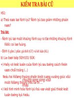 Các bài Luyện tập