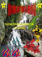 Chương III. §2. Phương trình bậc nhất một ẩn và cách giải