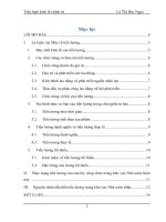 tiểu luận vấn đề tiền lương trong khu vực nhà nước 