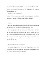 Sản xuất hàng hóa là gì những ưu thế của sản xuất hàng hóa quy luật giá trị trong sản xuất hàng hóa vận dụng quy luật này trong phát triển kinh tế nước ta 