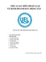 TIỂU LUẬN môn PHÁP LUẬT về KINH DOANH bất ĐỘNG sản CHỦ THỂ KINH DOANH bất ĐỘNG sản 