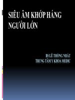 BS nhat   sieu am khop hang nguoi lon 