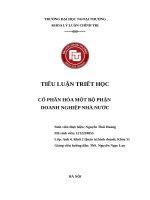 TIỂU LUẬN TRIẾT học  cổ PHẦN hóa một bộ PHẬN  DOANH NGHIỆP NHÀ nước 