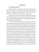 Tiểu luận kinh doanh bất động sản 