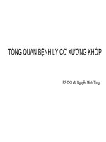 Bs tung   tong quan benh hoc co xuong khop 