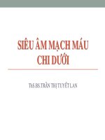 Bs lan   sieu am mach mau chi duoi 