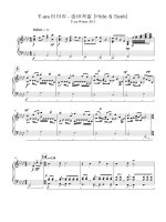 T ara hide and seek piano sheet