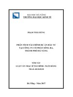 Phân tích tài chính dự án đầu tư tại công ty cổ phần sông ba, thành phố đà nẵng 