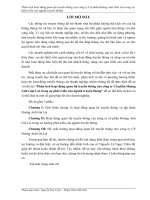 Phân tích hoạt động quan hệ truyền thông của công ty cổ phần hoàng anh giai lai trong sự phát triển của ngành truyền thông 