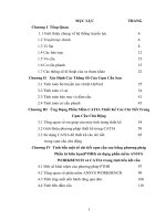 thiết kế , tính toán cầu sau chủ động ( kèm bản vẽ )