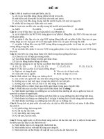Đề 10 14 đề ôn thi sinh 2019
