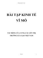 Bài tập kinh tế vi mô   tác ĐỘNG của CUNG cầu lên THỊ TRƯỜNG lúa gạo VIỆT NAM
