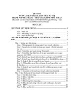 QUY CHẾ QUẢN LÝ QUY HOẠCH, KIẾN TRÚC ĐÔ THỊ THÀNH PHỐ PHAN RANG – THÁP CHÀM, TỈNH NINH THUẬN