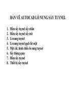 Bản vẽ autocad lò nung hầm sấy tuynel, sấy thùng quay