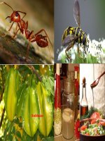 Bài 45. Axit cacboxylic