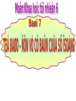 Bài 7. Cấu tạo tế bào thực vật