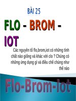 Bài 25. Flo - Brom - lot