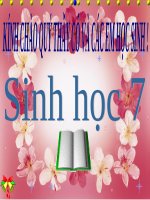 Bài 27. Đa dạng và đặc điểm chung của lớp Sâu bọ