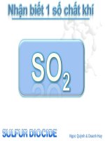 Bài 41. Nhận biết một số chất khí