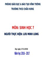 Bài 24. Đa dạng và vai trò của lớp Giáp xác