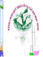 Bài 10. Ý nghĩa của bảng tuần hoàn các nguyên tố hoá học