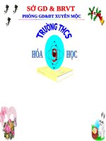 Bài 49. Thực hành: Tính chất của rượu và axit