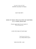Định lý phân tích nguyên sơ Noether và ý nghĩa hình học (LV thạc sĩ)