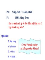 Bài giảng sinh học 9 thao giảng lai 2 cặp tính trạng ( tiếp) (7) 