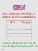 Bài 2. Nhiệm vụ của Sinh học. Đại cương về giới Thực vật