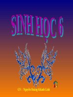 Bài 12. Biến dạng của rễ