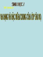 Bài 27. Đa dạng và đặc điểm chung của lớp Sâu bọ