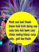 Bài 18. Biến dạng của thân