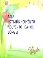 Bài 2. Hạt nhân nguyên tử - Nguyên tố hoá học - Đồng vị