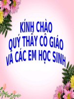 Bài 12. Liên kết ion - Tinh thể ion