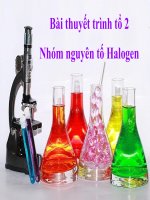 Bài 21. Khái quát về nhóm halogen
